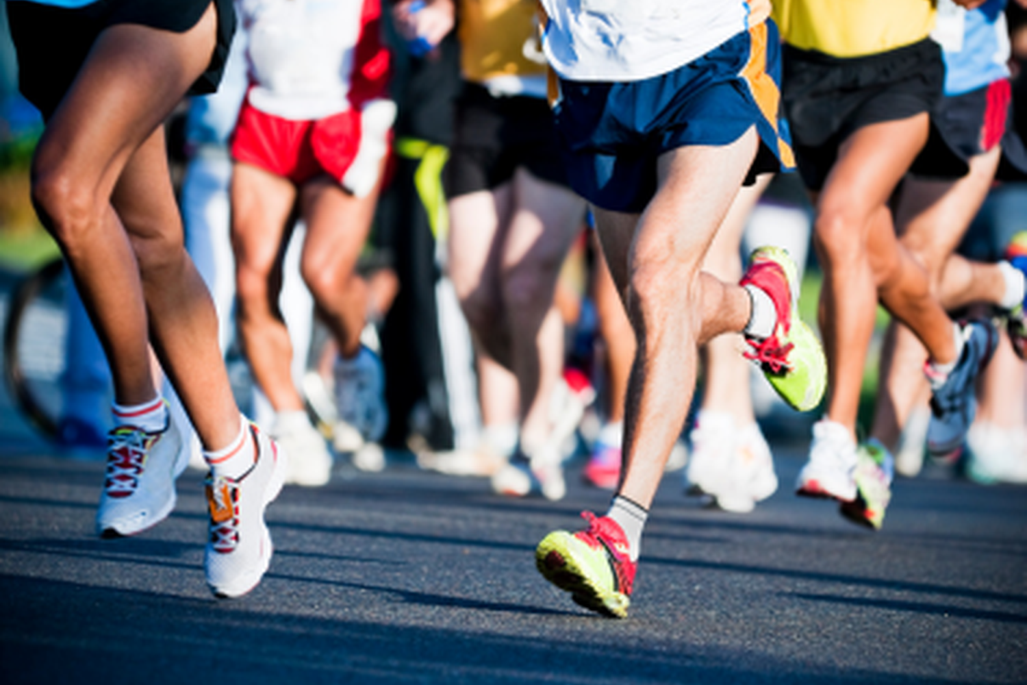 Do you have your place at the London Marathon 2024? National Animal